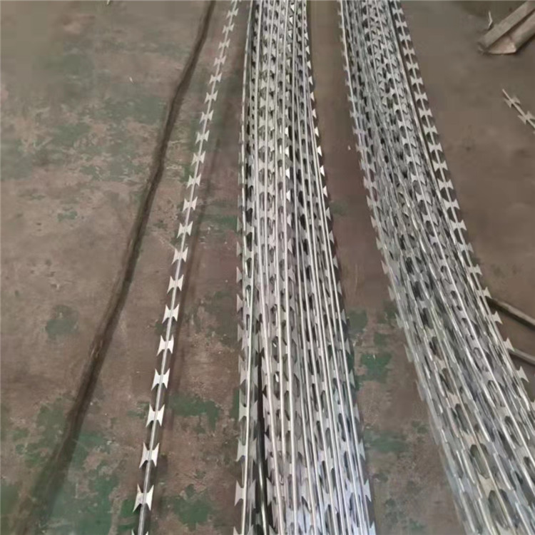 廣東    直條型刀片刺網(wǎng)案例